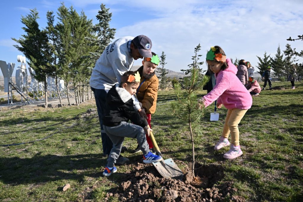 FİDANLAR AĞACA, AĞAÇLAR ORMANA