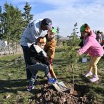 FİDANLAR AĞACA, AĞAÇLAR ORMANA