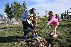 FİDANLAR AĞACA, AĞAÇLAR ORMANA