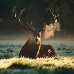 diana-parkhouse-YNQrwks9uG8-unsplash