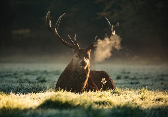 diana-parkhouse-YNQrwks9uG8-unsplash