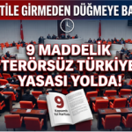 Adsız (466 x 360 piksel)