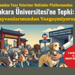 Adsız (466 x 360 piksel)JJAZA