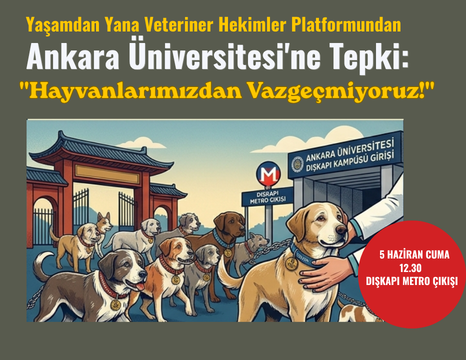 Adsız (466 x 360 piksel)JJAZA