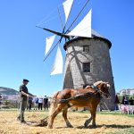 ALTINKÖY HASAT ŞENLİĞİ (13)