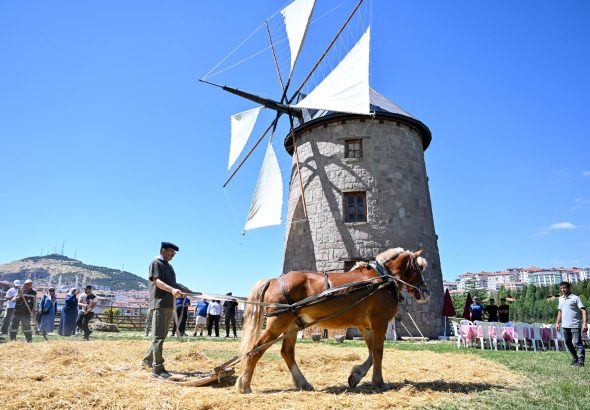 ALTINKÖY HASAT ŞENLİĞİ (13)