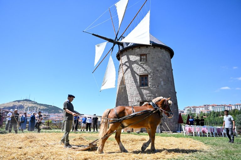 ALTINKÖY HASAT ŞENLİĞİ (13)