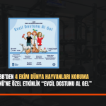 çlk